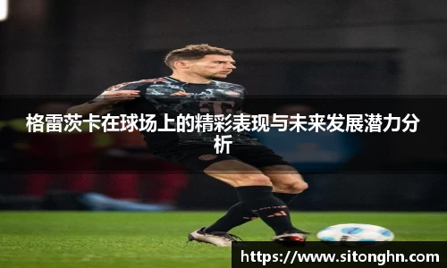 格雷茨卡在球场上的精彩表现与未来发展潜力分析